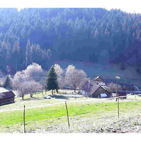 Ferienhaus Schwarzwald Seewald Erzgrube Badesee 100% Natur エクステリア 写真