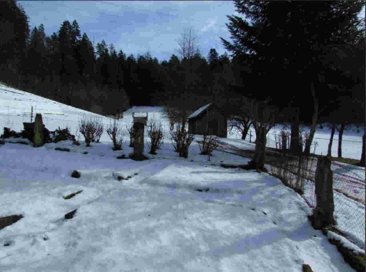 Ferienhaus Schwarzwald Seewald Erzgrube Badesee 100% Natur エクステリア 写真