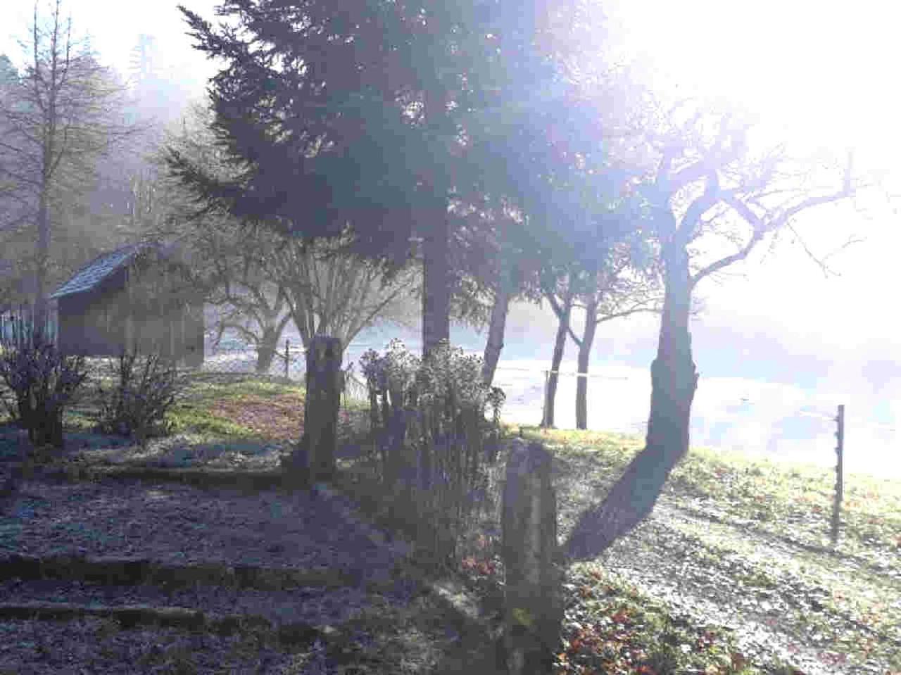 Ferienhaus Schwarzwald Seewald Erzgrube Badesee 100% Natur エクステリア 写真