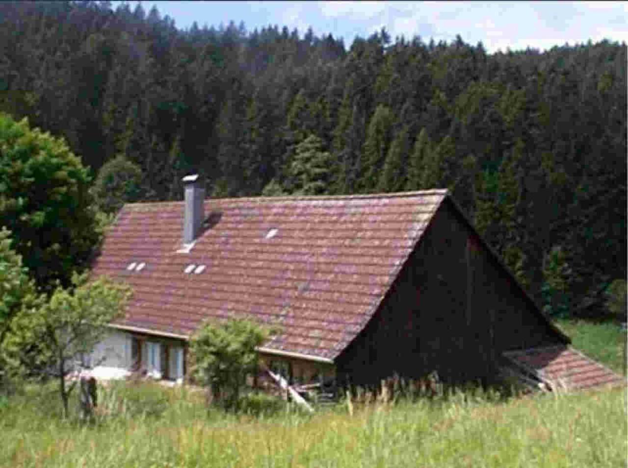 Ferienhaus Schwarzwald Seewald Erzgrube Badesee 100% Natur エクステリア 写真